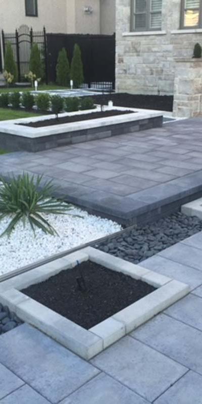 Front yard and driveways